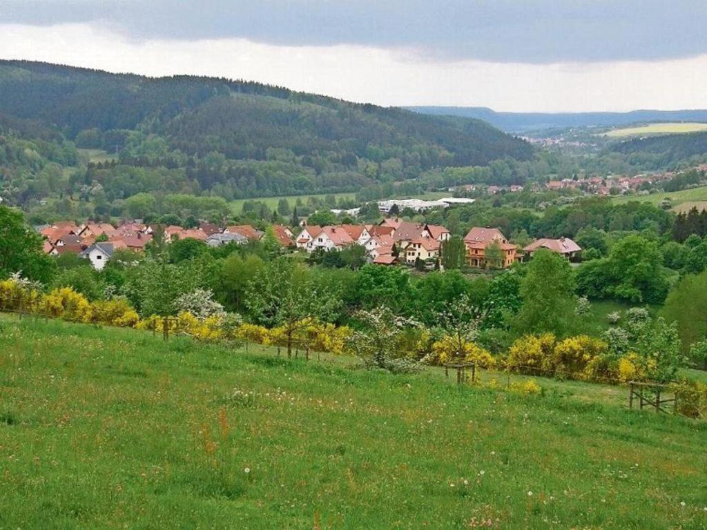 Gartenhaus - Dietzhaeuschen Suhl Dış mekan fotoğraf