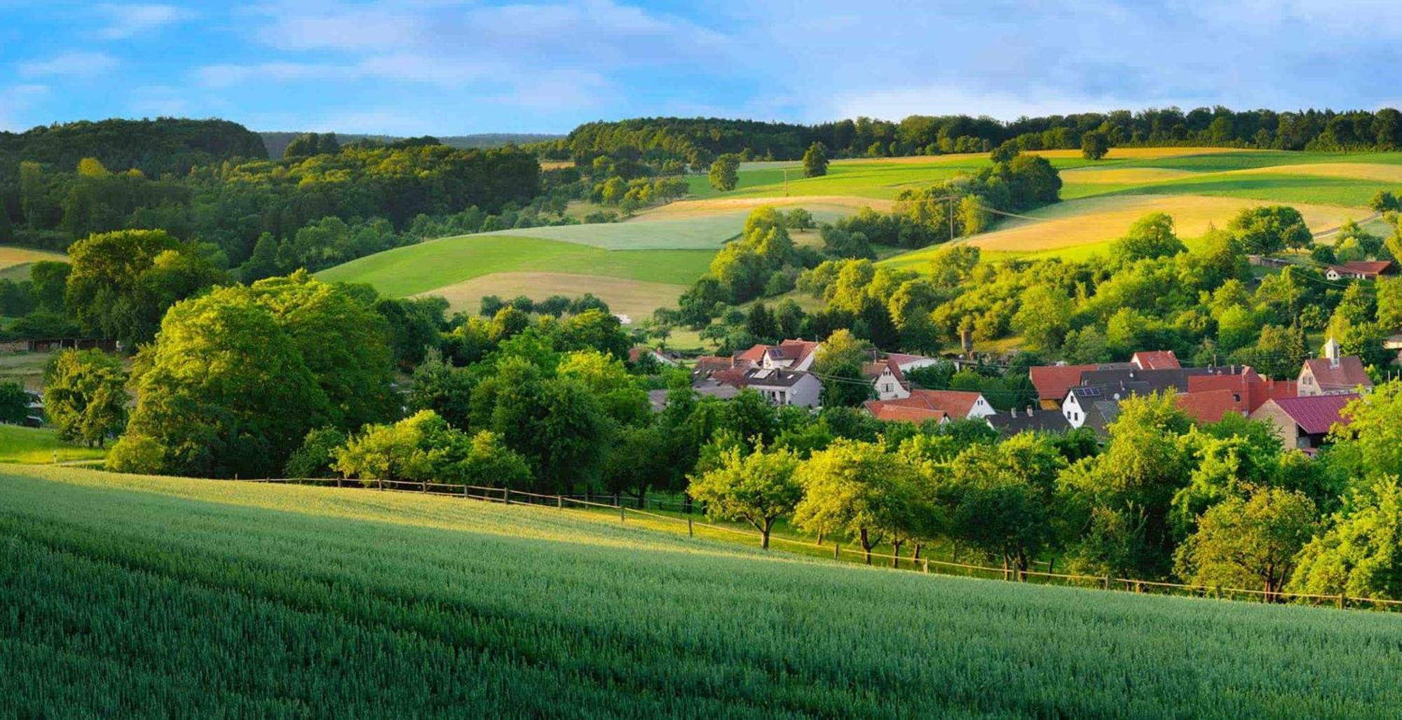 Gartenhaus - Dietzhaeuschen Suhl Dış mekan fotoğraf