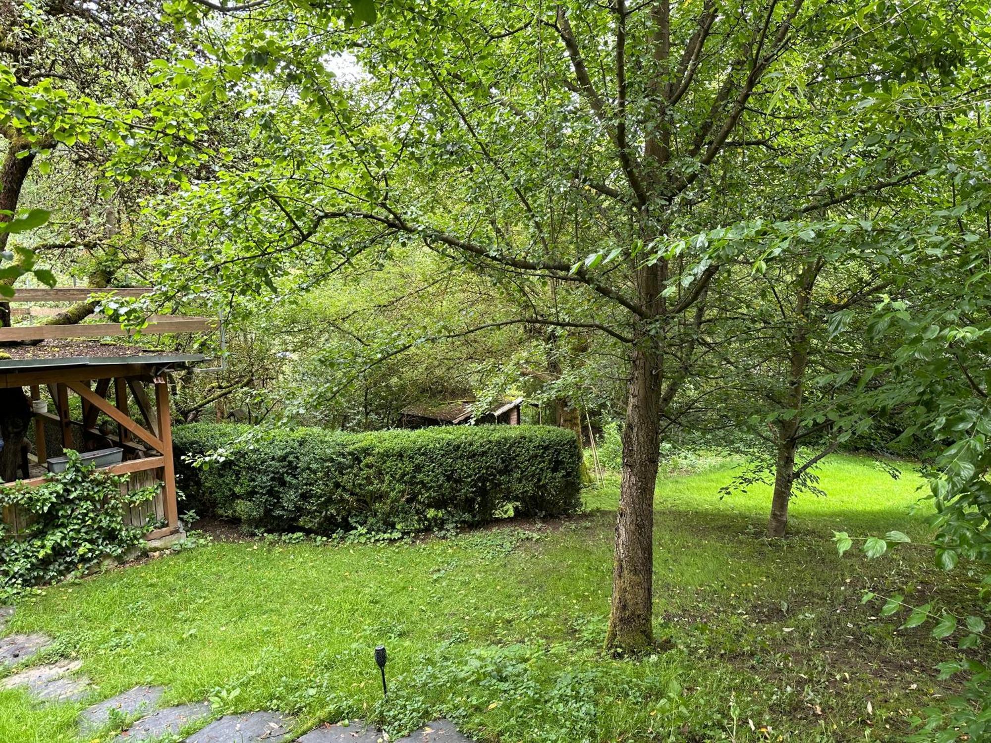 Gartenhaus - Dietzhaeuschen Suhl Dış mekan fotoğraf